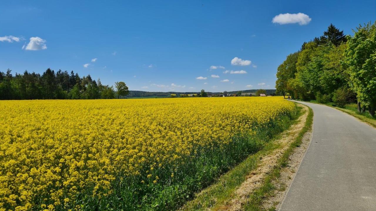 Ferienwohnung Fleischer Langenwetzendorf Exteriör bild